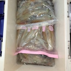 第二龍勢丸 釣果