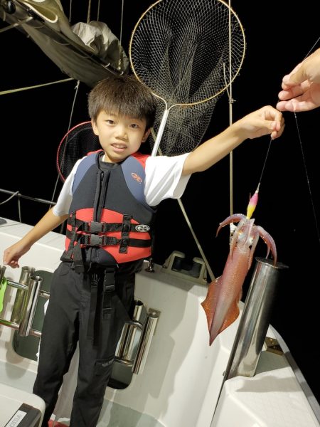 シーライオン 釣果