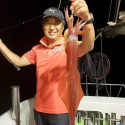 シーライオン 釣果