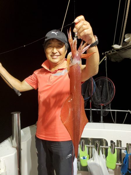 シーライオン 釣果