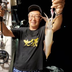 シーライオン 釣果