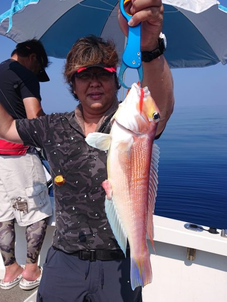 ARCADIAⅡ (アルカディアⅡ) 釣果