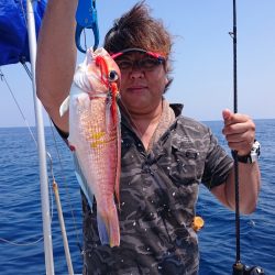 ARCADIAⅡ (アルカディアⅡ) 釣果