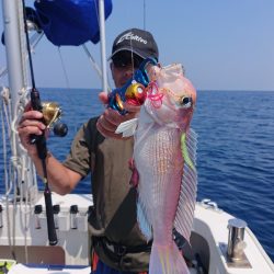 ARCADIAⅡ (アルカディアⅡ) 釣果