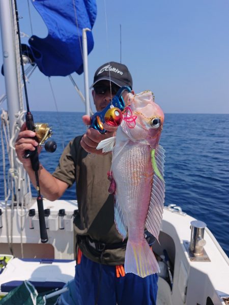 ARCADIAⅡ (アルカディアⅡ) 釣果