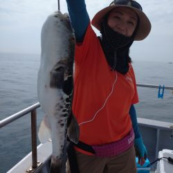 ありもと丸 釣果