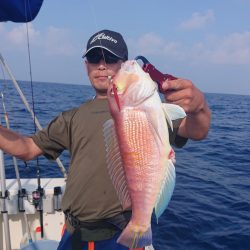 ARCADIAⅡ (アルカディアⅡ) 釣果