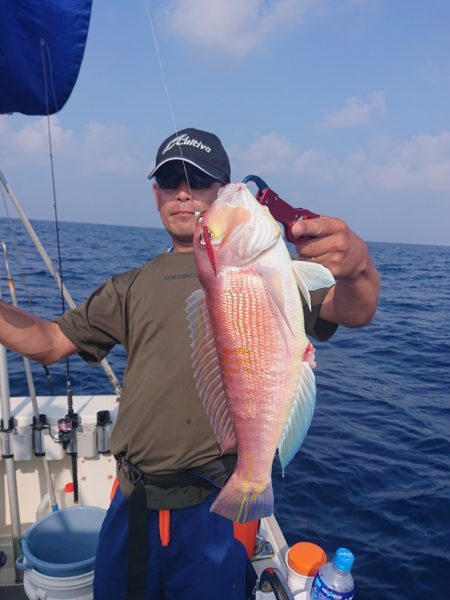 ARCADIAⅡ (アルカディアⅡ) 釣果