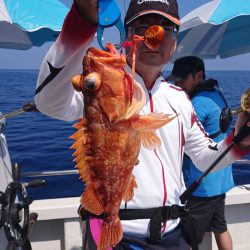 ARCADIAⅡ (アルカディアⅡ) 釣果