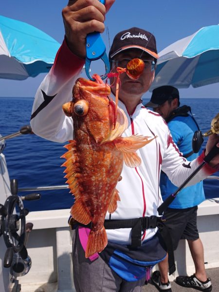 ARCADIAⅡ (アルカディアⅡ) 釣果