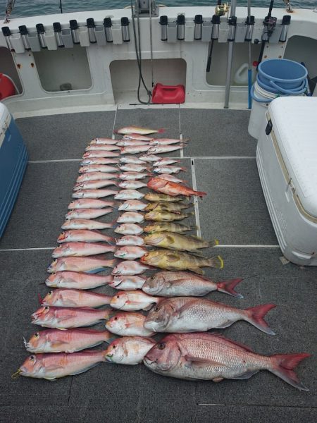 ARCADIAⅡ (アルカディアⅡ) 釣果