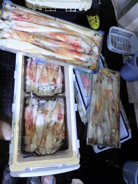 第二龍勢丸 釣果