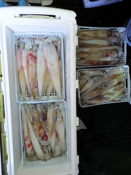 第二龍勢丸 釣果