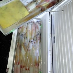 第二龍勢丸 釣果