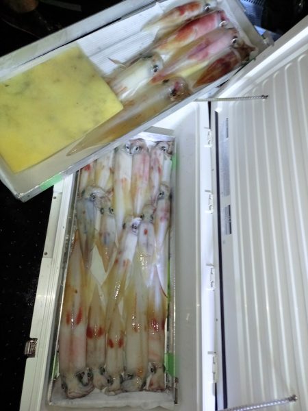 第二龍勢丸 釣果