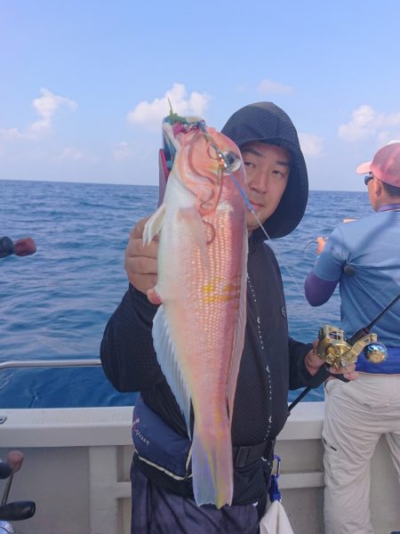 ARCADIAⅡ （アルカディアⅡ） 釣果