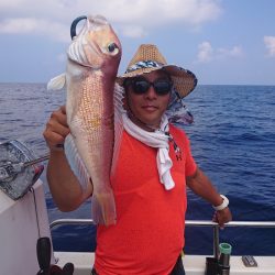 ARCADIAⅡ （アルカディアⅡ） 釣果