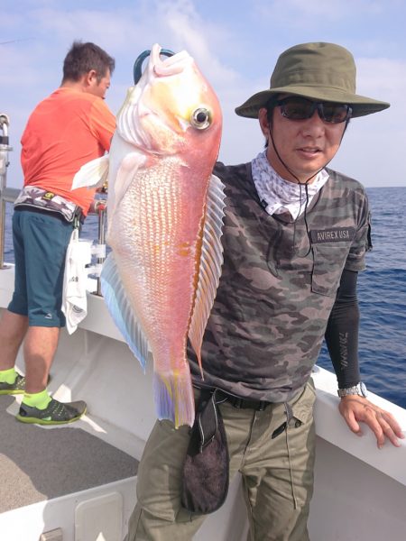 ARCADIAⅡ （アルカディアⅡ） 釣果