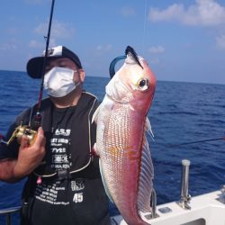 ARCADIAⅡ （アルカディアⅡ） 釣果