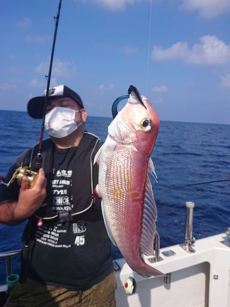 ARCADIAⅡ （アルカディアⅡ） 釣果