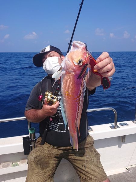 ARCADIAⅡ （アルカディアⅡ） 釣果