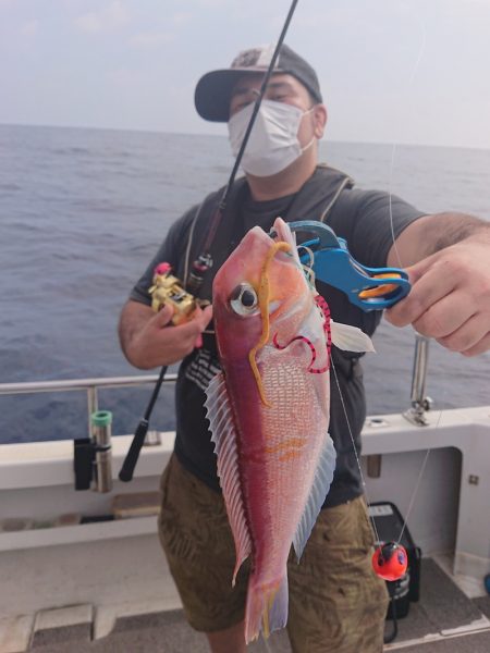 ARCADIAⅡ （アルカディアⅡ） 釣果