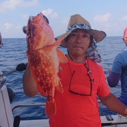 ARCADIAⅡ （アルカディアⅡ） 釣果