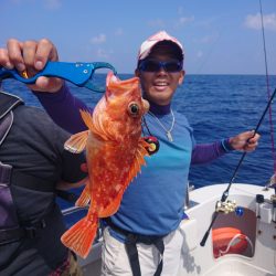 ARCADIAⅡ （アルカディアⅡ） 釣果