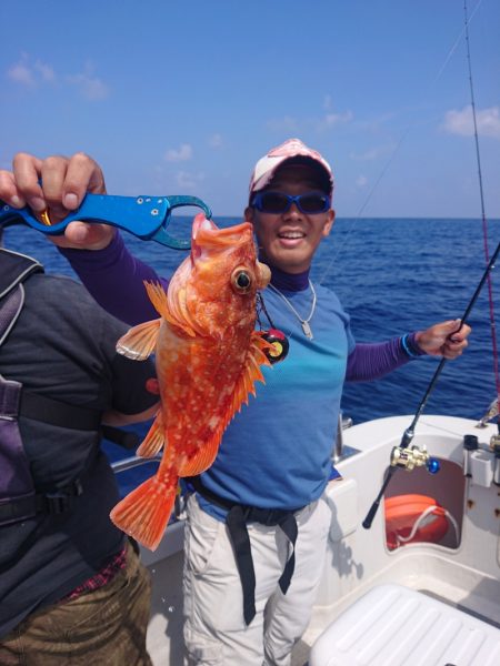 ARCADIAⅡ （アルカディアⅡ） 釣果