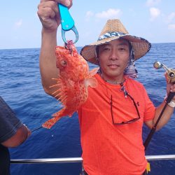 ARCADIAⅡ （アルカディアⅡ） 釣果