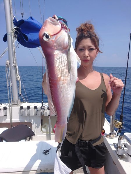 ARCADIAⅡ (アルカディアⅡ) 釣果