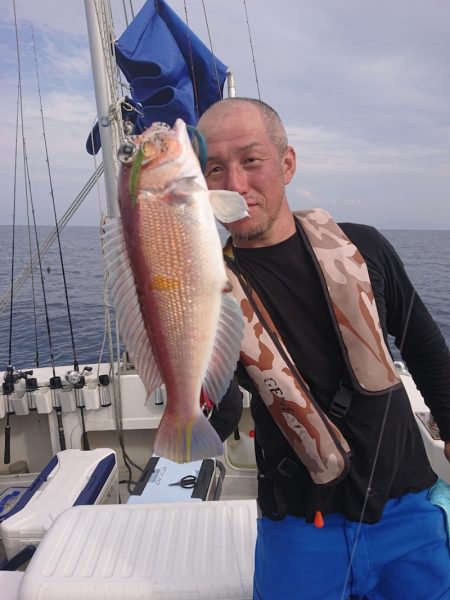 ARCADIAⅡ (アルカディアⅡ) 釣果