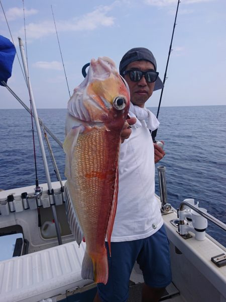 ARCADIAⅡ (アルカディアⅡ) 釣果