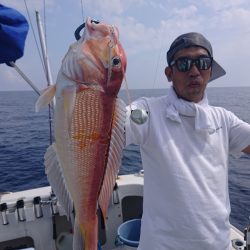 ARCADIAⅡ (アルカディアⅡ) 釣果