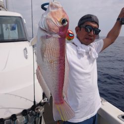 ARCADIAⅡ (アルカディアⅡ) 釣果