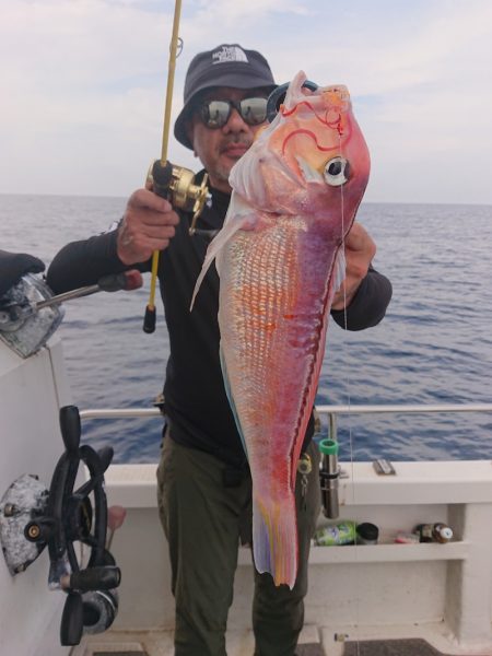 ARCADIAⅡ (アルカディアⅡ) 釣果