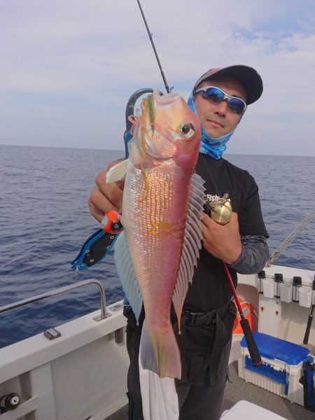 ARCADIAⅡ (アルカディアⅡ) 釣果