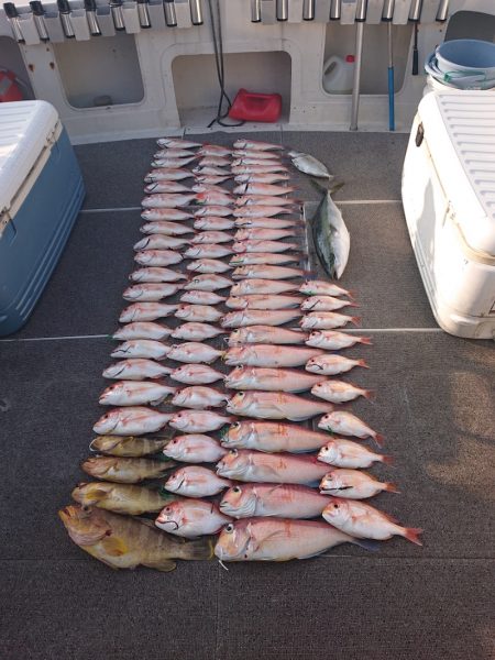 ARCADIAⅡ (アルカディアⅡ) 釣果