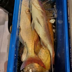 海龍丸（石川） 釣果