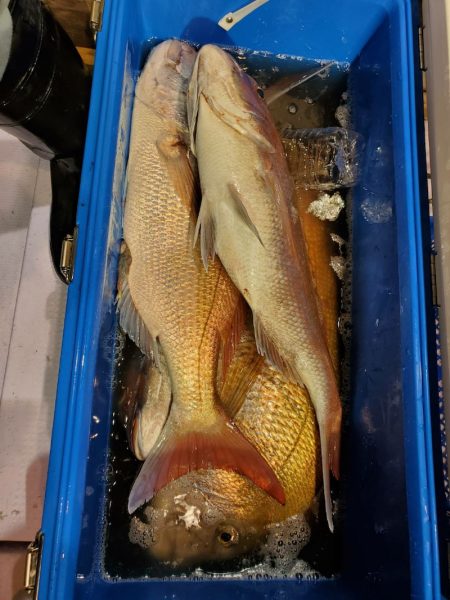 海龍丸（石川） 釣果