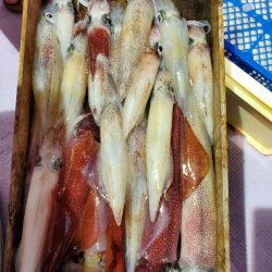 海龍丸（石川） 釣果