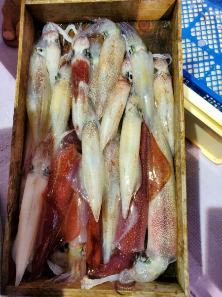 海龍丸（石川） 釣果