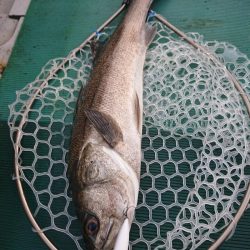 鷹王丸 釣果
