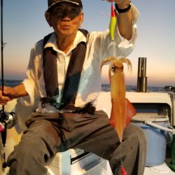 アマテラス 釣果