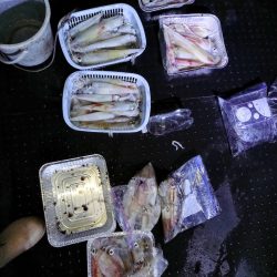 第二龍勢丸 釣果