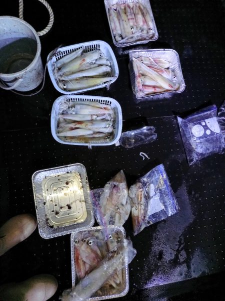 第二龍勢丸 釣果