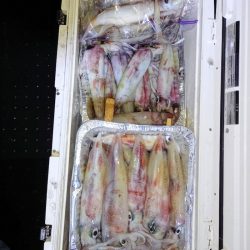 第二龍勢丸 釣果