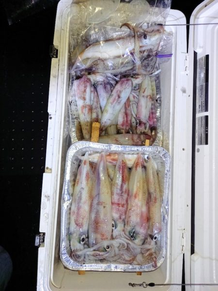 第二龍勢丸 釣果