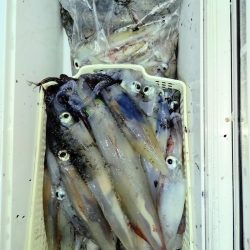 第二龍勢丸 釣果