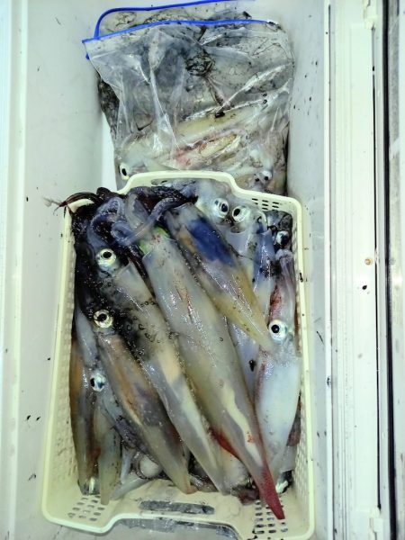 第二龍勢丸 釣果